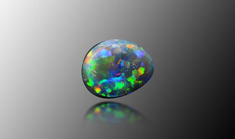 Everything You Need to Know About Black Opals Angara